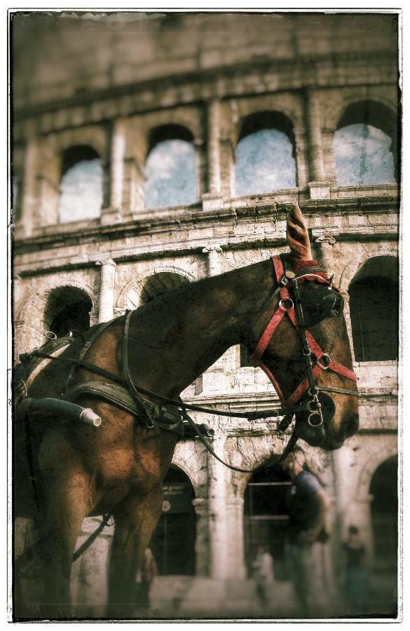 Casa Vacanza Katiuscia Roma Esterno foto